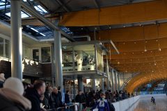 KJ-Bokaal-2026003-2-scaled