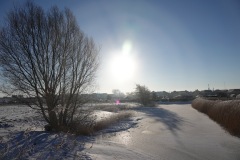 DSC00290