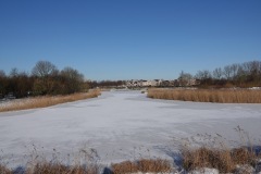 DSC00375