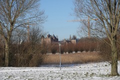 DSC00377