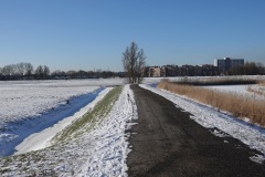 DSC00379