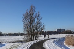 DSC00380