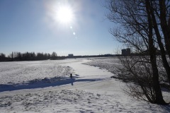 DSC00381